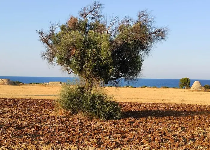 Appartement Casa Marianna Short Lets Polignano a Mare