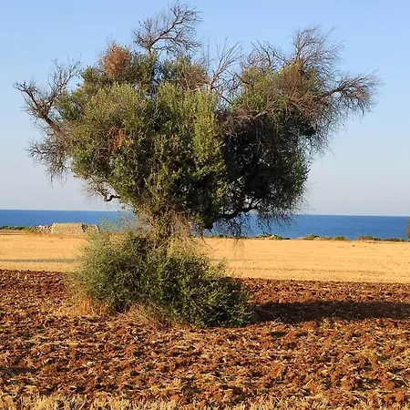 Lejlighed Casa Marianna Short Lets Polignano a Mare